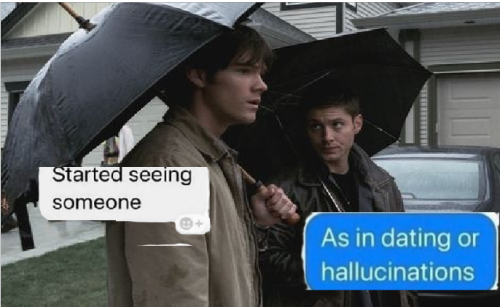 The Winchester Brothers As Texts