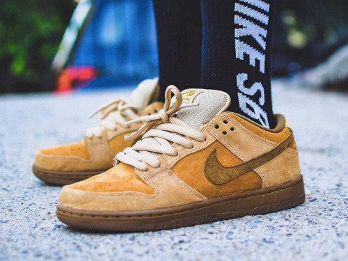 nike sb reverse wheat