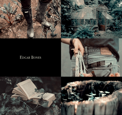 ibuzoo: Harry Potter Meme - @hp-moods​ & @ibuzoo​ [7/9 Order of the Phoenix Members] - Edgar Bon