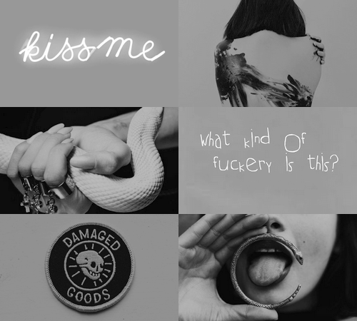 lupinnremus:  hp aesthetics (character + quote): pansy parkinson (slytherin)  “Hey, Johnson, w