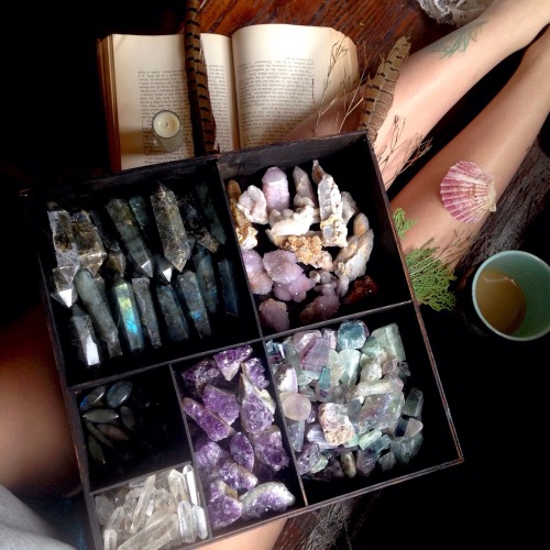 skeletonbonesandflowers:Feeling humble this morning, organizing my crystals into my newly painted sh