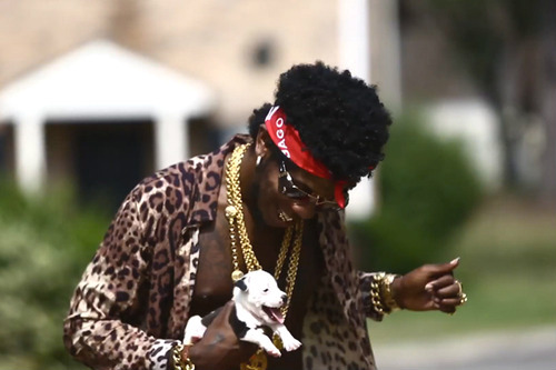 rocknrollercoaster:  Rappers with puppies. 