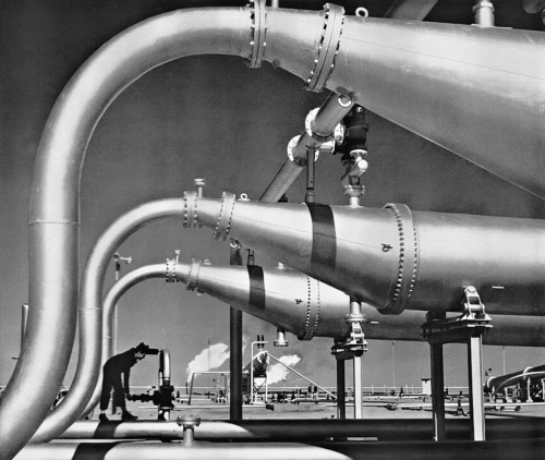 vieuxmetiers:  Gas withdrawal system, Basrah, Iraq, 1960. 