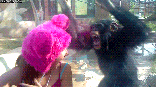amzinggifs:  More funny gifs at www.amazinggifs.com 