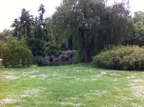 yoyo-its-joey:  A beautiful lil park right next to the Eiffel Tower 