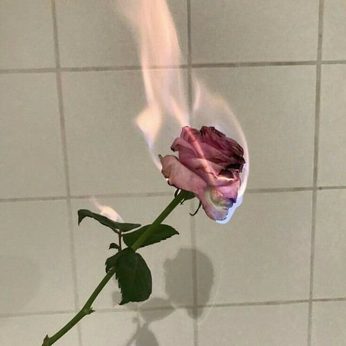 sh0otsh1t:~