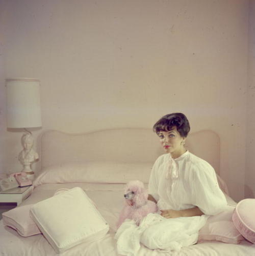 Slim Aarons, Pink Accessory, 1955