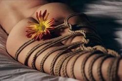 fineartofbondage:  Sensual Flower Bondage