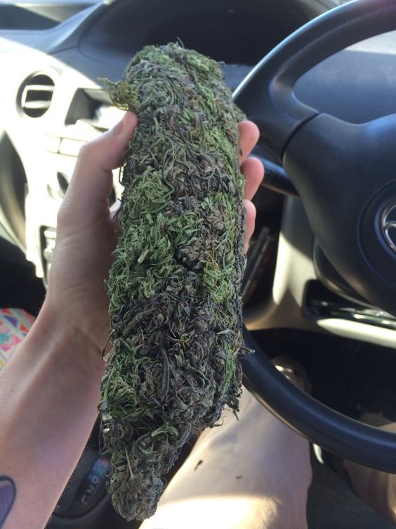 It's a good day for smoke
