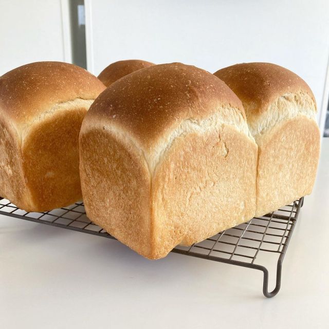 kz3_sugi #bread#baking#food#cottagecore#shokupan#loaf #pain de mie