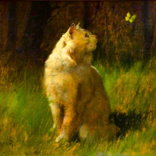 Cats + Art