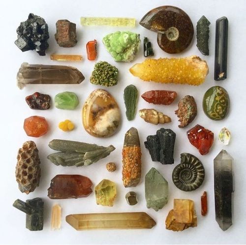 mineraliety: Crystal Harvest arrangement by @twiggyabi /////// www.instagram.com/mineraliety