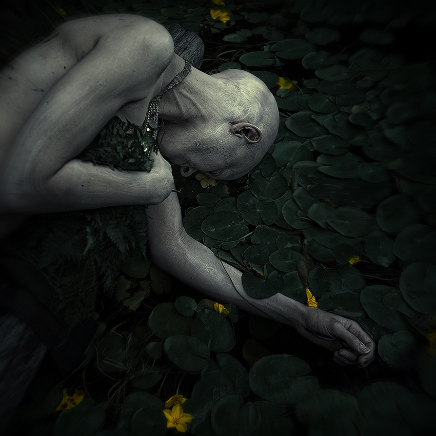 blackish-dusk:  transition by ~WeissChristian 