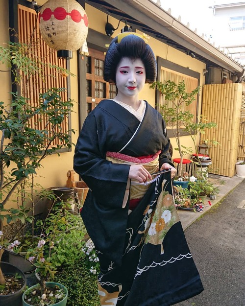 missmyloko: April 7th, 2020: Another happy day in Kyoto! Today we saw the birth of a new geiko in Ka