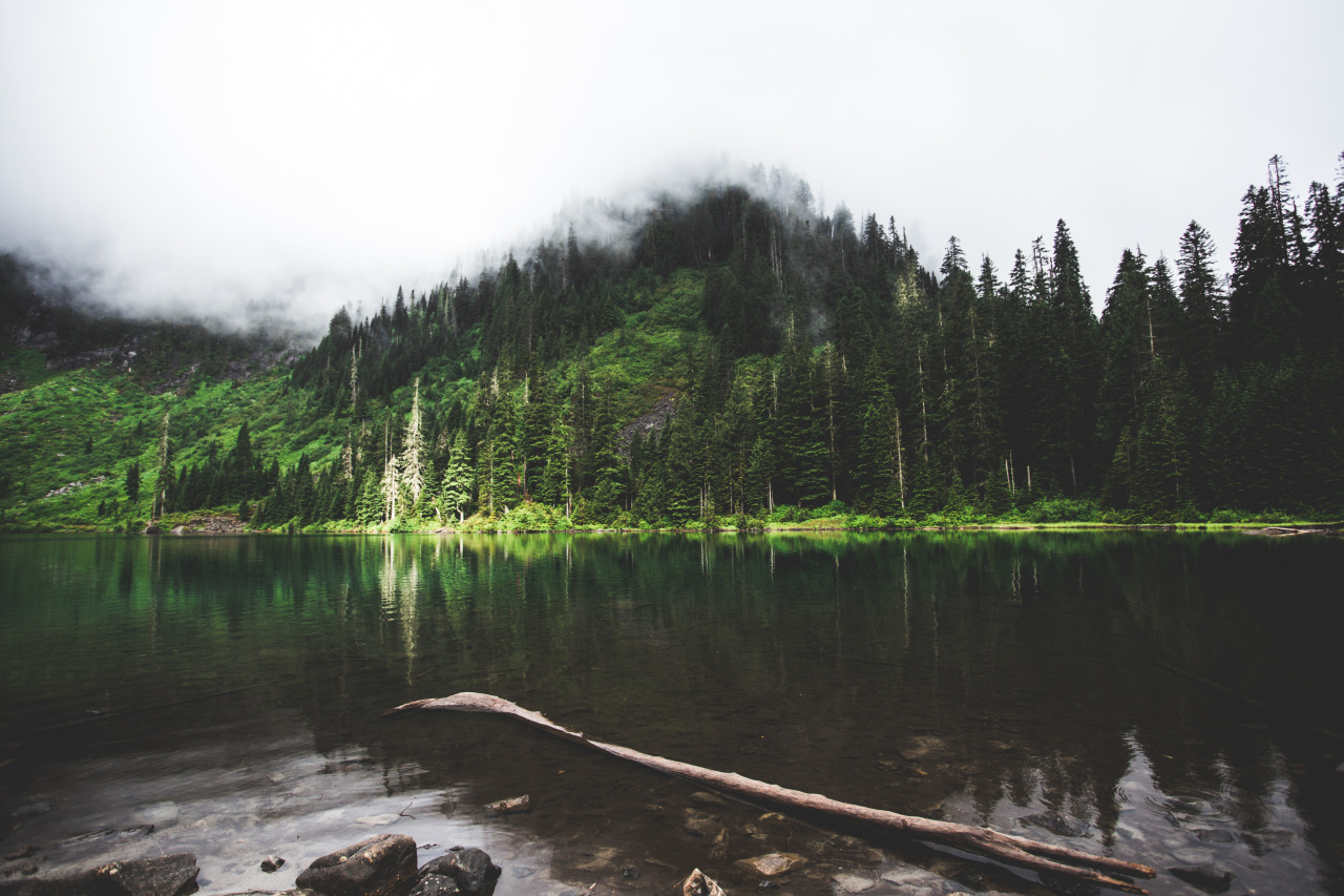 jtrendd:  Rainy day’s. 