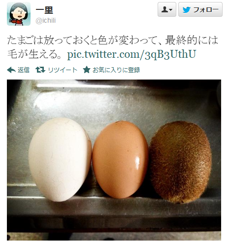adachix:  Twitter / ichili: たまごは放っておくと色が変わって、最終的には毛が生え … 