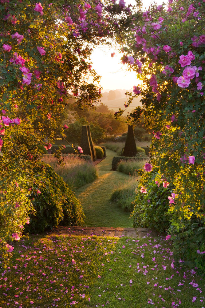 floralls:    PETTIFERS GARDEN, OXFORDSHIRE   by  Clive Nichols     