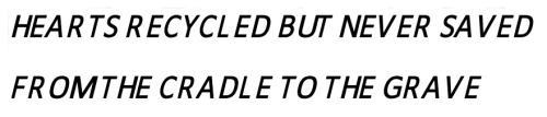 thundurous:  JESUS OF SUBURBIA // GREEN DAY