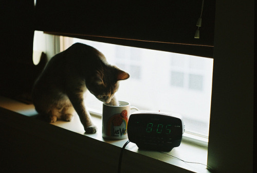 grett:  R1-04671-023A by OliverSC on Flickr.