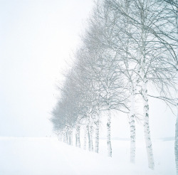 cloudedcamera-:  ■ by shinya* on Flickr. 