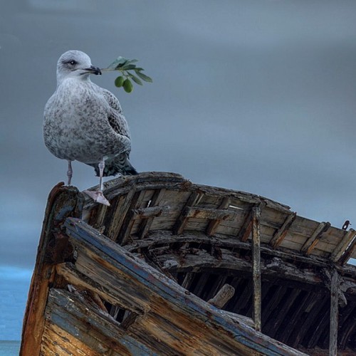 Pillaged