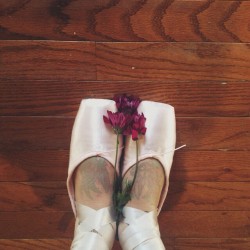 Pointe.  For those that dance. I am aware