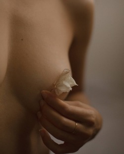 whisper–of-the-sea-deactivated:- Paeulini photography“No greater desire