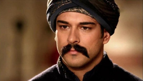hairyturkishgaymachos: