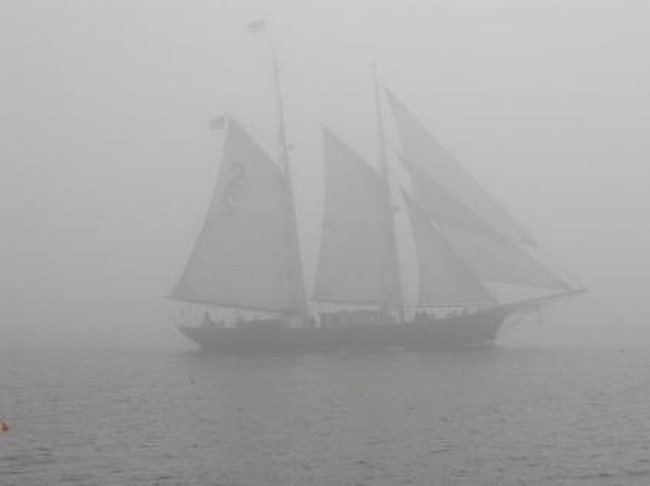Tumblr's Largest Collection of Sailing Blogs