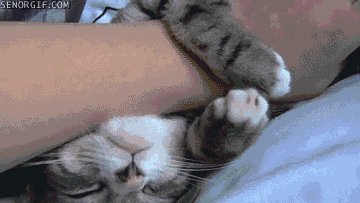 ok i can&rsquo;t resist.oh and hplessflirt for the owl, cuz omg