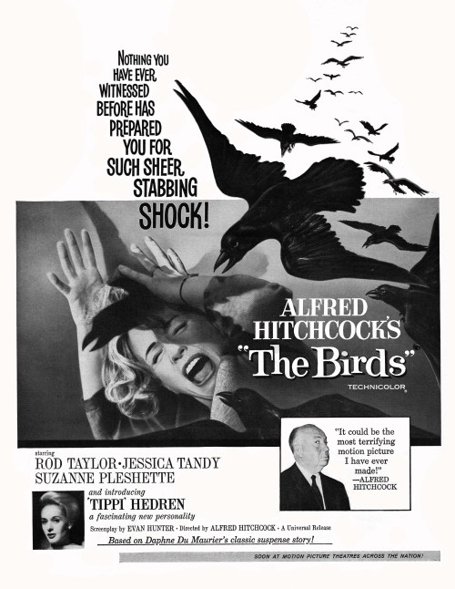 ohthentic:  dtxmcclain:  The Birds, 1963  Oh