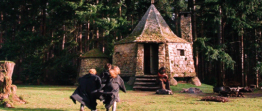 miones:  “It does not do to dwell on dreams and forget to live” Harry Potter