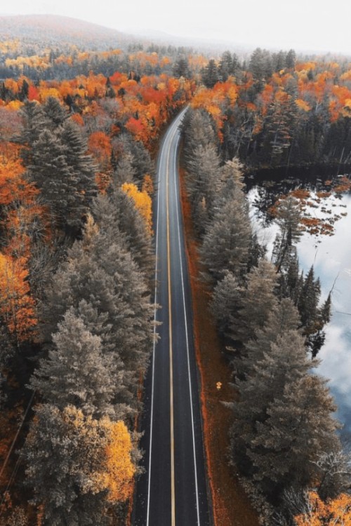photopinnet:Road at autumn adult photos