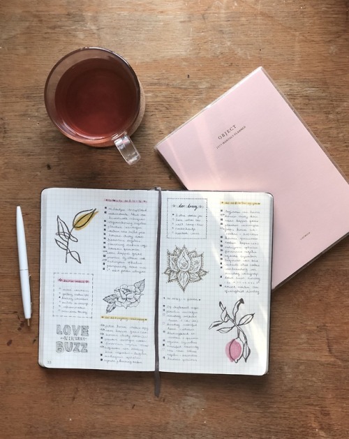 My current study sessions | featuring my notes and my bullet journal