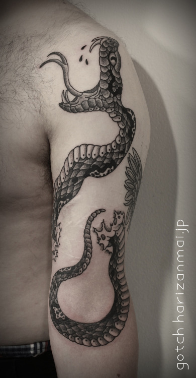 SNAKE DAY!!!! By Gotch  (Kyoto, Japan - Harizanmai)