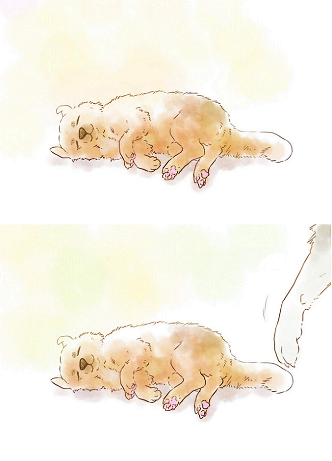 nonchalant-fork:  lbent:  こきあい  Wolf butt 