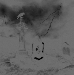 My † Darkest † Side