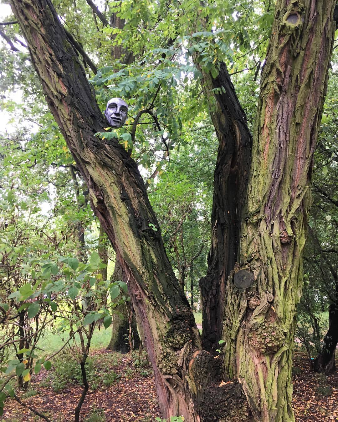 Goodbye Peter, have fun being a tree spirit
///
#peter #head #treespirit #sellers #petersellers #inatree #spirit #goodbye #thingsyoucanttakewithyou (at Zoliborz, Warszawa, Poland)