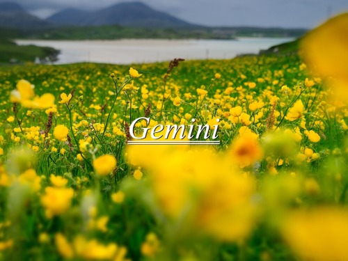gemini :  yellow (bright and luminous. the color of novelty)energetic, versatile, intellectual, inte