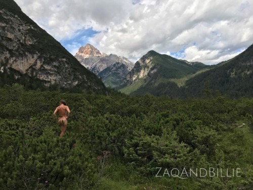 zaqandbillie:Ginepro nelle AlpiMemories from this summer&rsquo;s trip to the Alps. This picture 