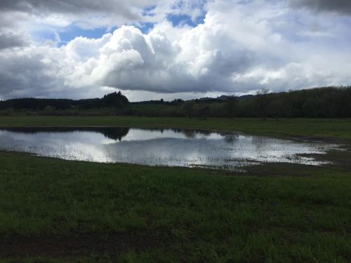 On a walk in Corvallis OR. #beautiful #corvallis #naturephoto #skyhttps://www.instagram.com/p/COHH