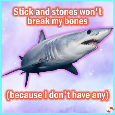 carcinized:the “affirmations” the official shark week instagram posted are really funny. like yeah Mecore tbh