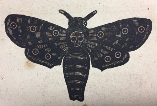 The Death’s Head Hawkmoth & 19th- century literatureIt’s time for a little entomology in Wilson 