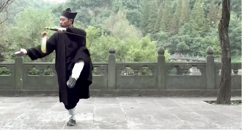 gabuwingchun:  Wudang Taiji Jian by Grandmaster Zhong Yun Long