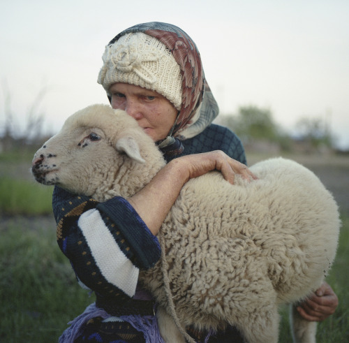 theseromaniansarecrazy:A Romanian woman, a Romanian lamb. Perfect rural photo. 