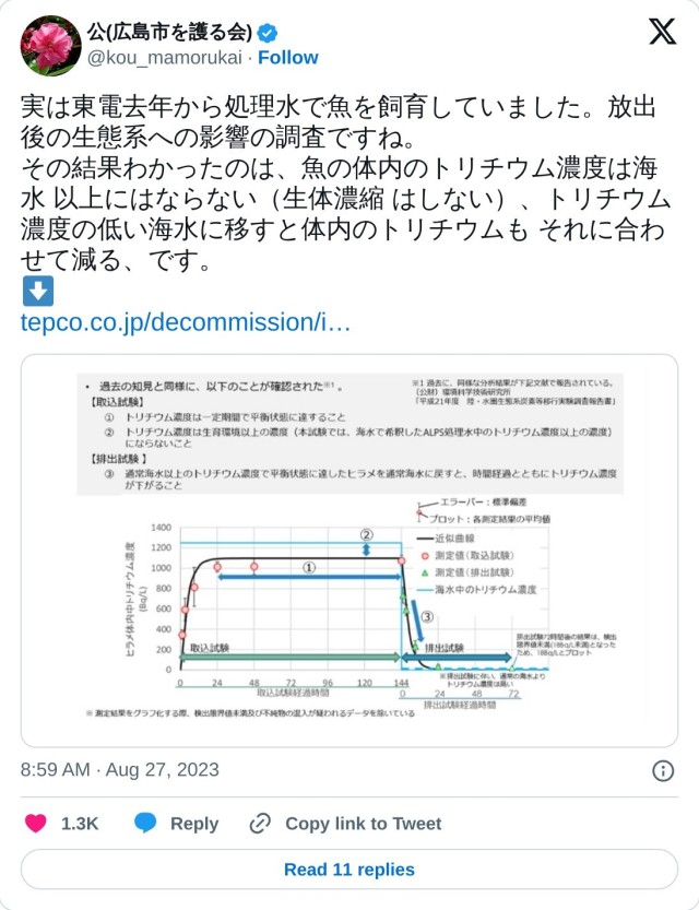 実は東電去年から処理水で魚を飼育していました。放出後の生態系への影響の調査ですね。
その結果わかったのは、魚の体内のトリチウム濃度は海水 以上にはならない（生体濃縮 はしない）、トリチウム濃度の低い海水に移すと体内のトリチウムも それに合わせて減る、です。
⬇️https://t.co/CLf2tsnY6O pic.twitter.com/0rD9fGQa4e

— 公(広島市を護る会) (@kou_mamorukai) August 27, 2023