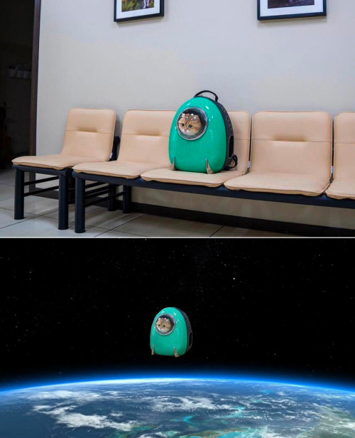 your-future-robot-overlord:princesstigerbelle:proxykitkat:Ground control to major tom…So long space 