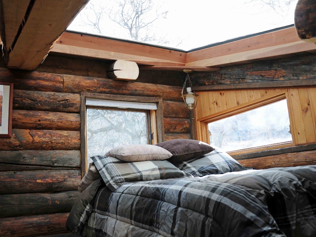 Mountain Vagabond