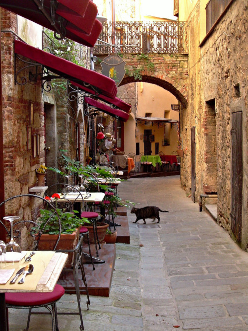 allthingseurope:  Massa Marittima. Italy (by cannuccia)