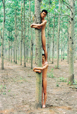 thisisfed-moodboard:  Ren Hang